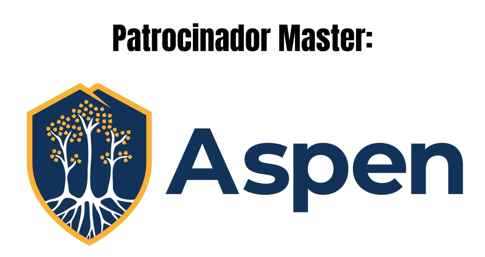 7 TDI BRASIL SP 2026 - Patrocinio (1)